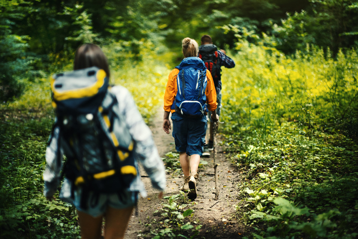 Wandern Westpfalz